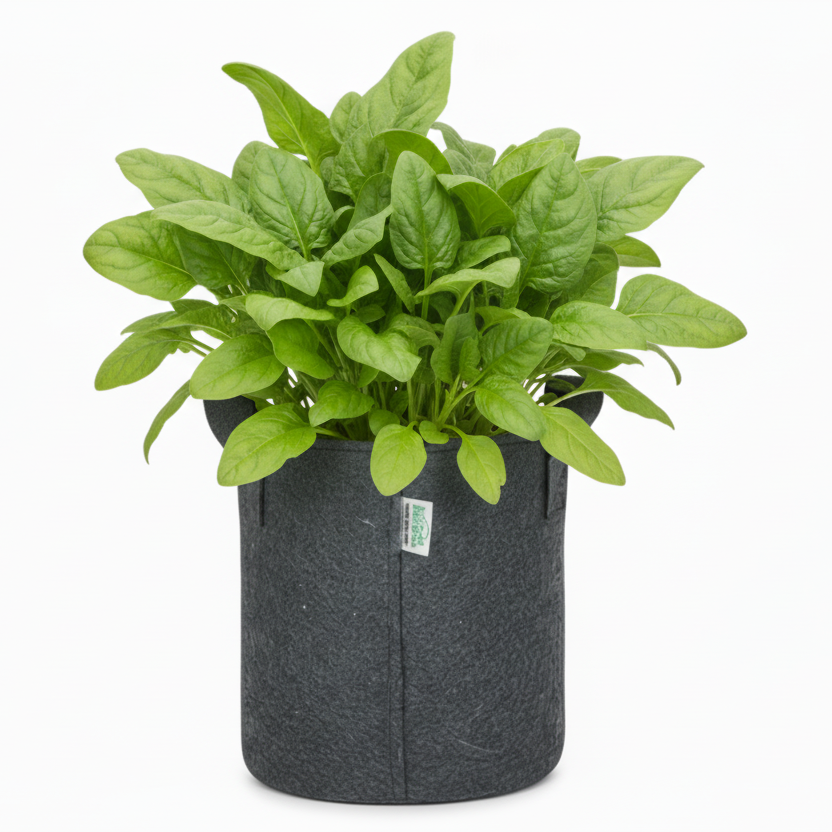 Indigrow Superior Geo Fabric Grow Bag 9x9 Inch | 400 GSM Heavy Duty | UV Protected | Air Pruning Breathable Fabric Pot with Handles | For Chilli, Spinach, Herbs & Kitchen Garden Plants