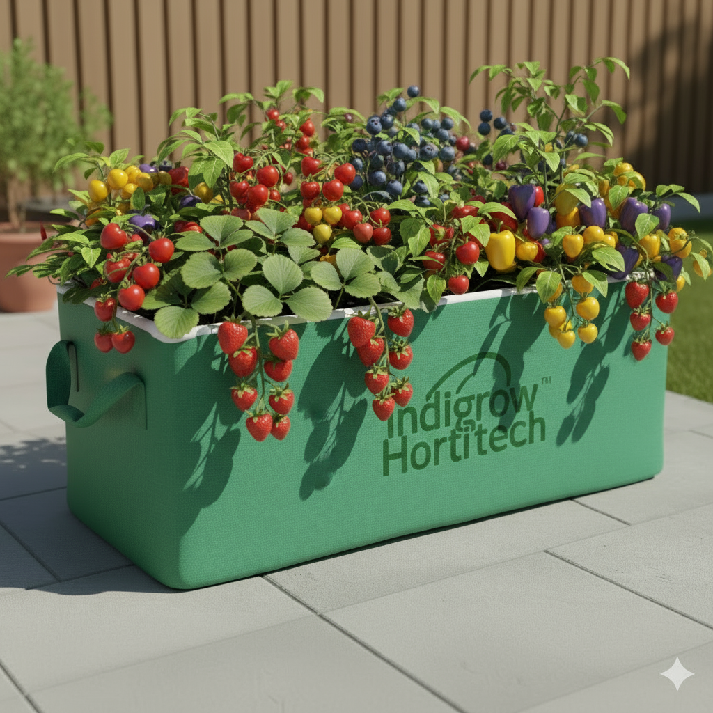 HDPE Rectangular Grow Bag | 6x3x1ft | 360 GSM