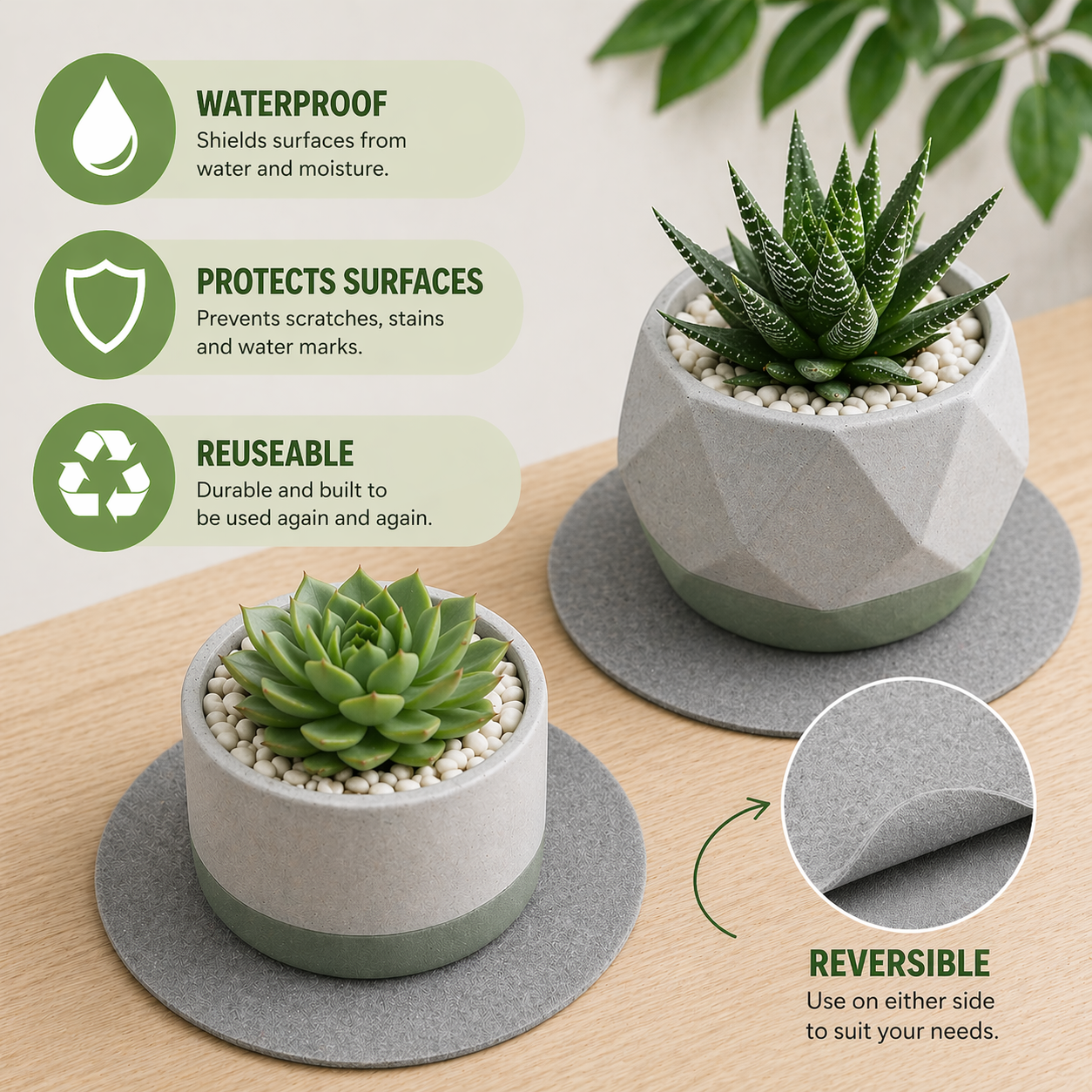 Indigrow Plant Coasters for Pots | Absorbent Fabric Mats with Waterproof Backing | Fast Drying | Protects Floors & Surfaces | Indoor & Outdoor Use | 6 Inches | Pack of 12