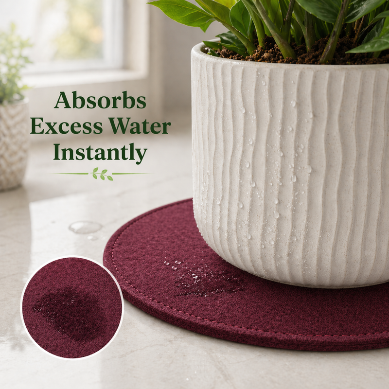 Plant Coasters