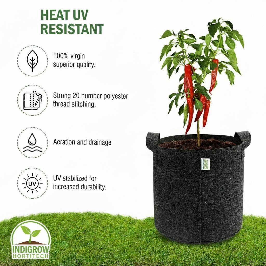 Superior 12x12 Inch Geo Fabric Grow Bag: 400 GSM, Handles, UV Protected