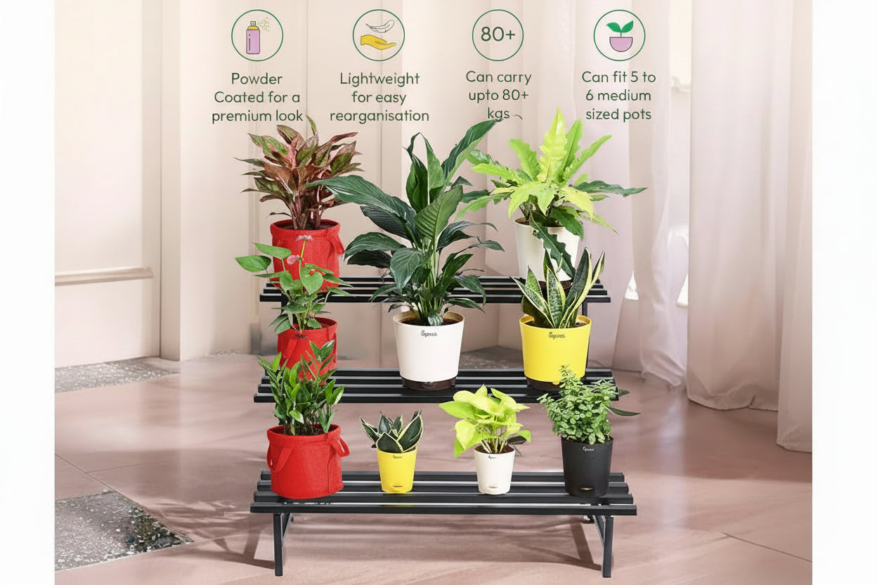 Indigrow Heavy Duty  3-Tier Square Tube Plant Stand  | Heavy Duty Iron Pot Stand for Balcony, Home Decor, Indoor and Outdoor Use