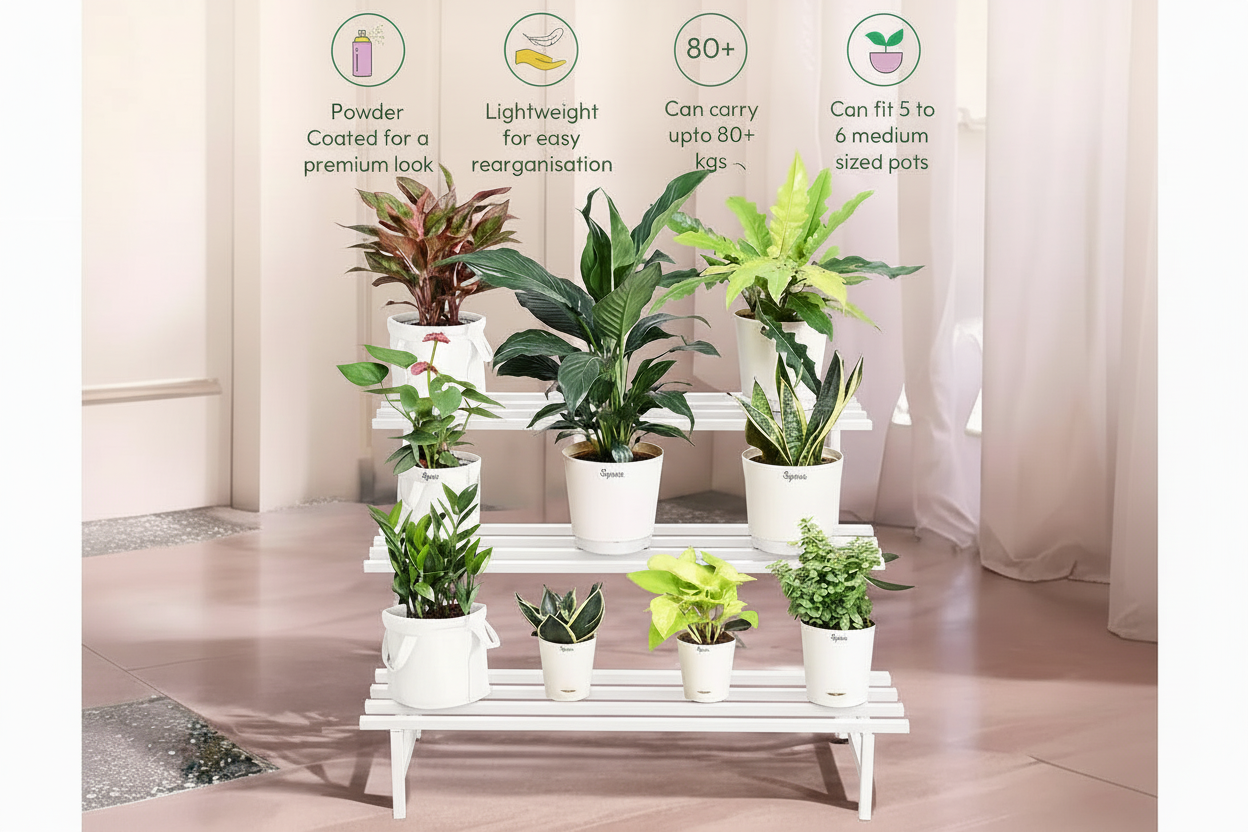 Indigrow Heavy Duty  3-Tier Square Tube Plant Stand  | Heavy Duty Iron Pot Stand for Balcony, Home Decor, Indoor and Outdoor Use