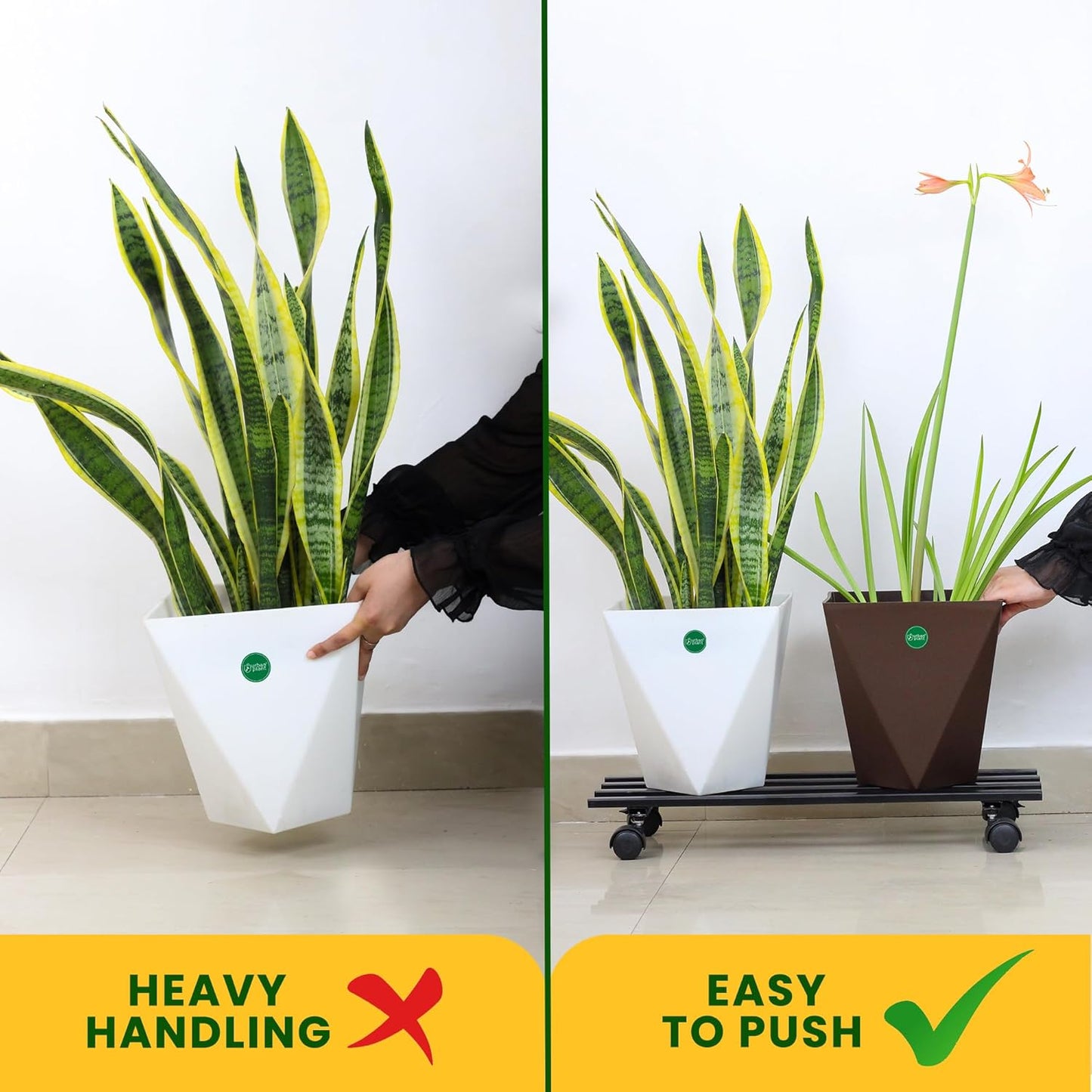 Indigrow Hortitech Heavy Duty Plant Stand with Wheels | Wheel Pot Trolley for Balcony, Indoor & Outdoor | Rust-Proof Metal Gamla Stand (Black) Rectangular Caddy Pack of 4