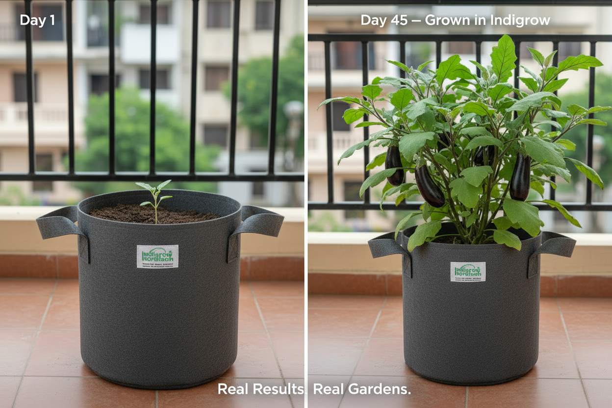 Indigrow Superior Geo Fabric Grow Bag 12x12 Inch | 400 GSM Heavy Duty | UV Protected | Air Pruning Breathable Fabric Pot with Handles | For Tomatoes, Brinjal, Chillies & Kitchen Garden