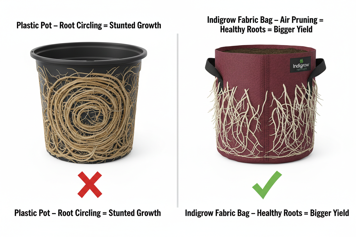 Indigrow Superior Geo Fabric Grow Bag 12x12 Inch | 400 GSM Heavy Duty | UV Protected | Air Pruning Breathable Fabric Pot with Handles | For Tomatoes, Brinjal, Chillies & Kitchen Garden