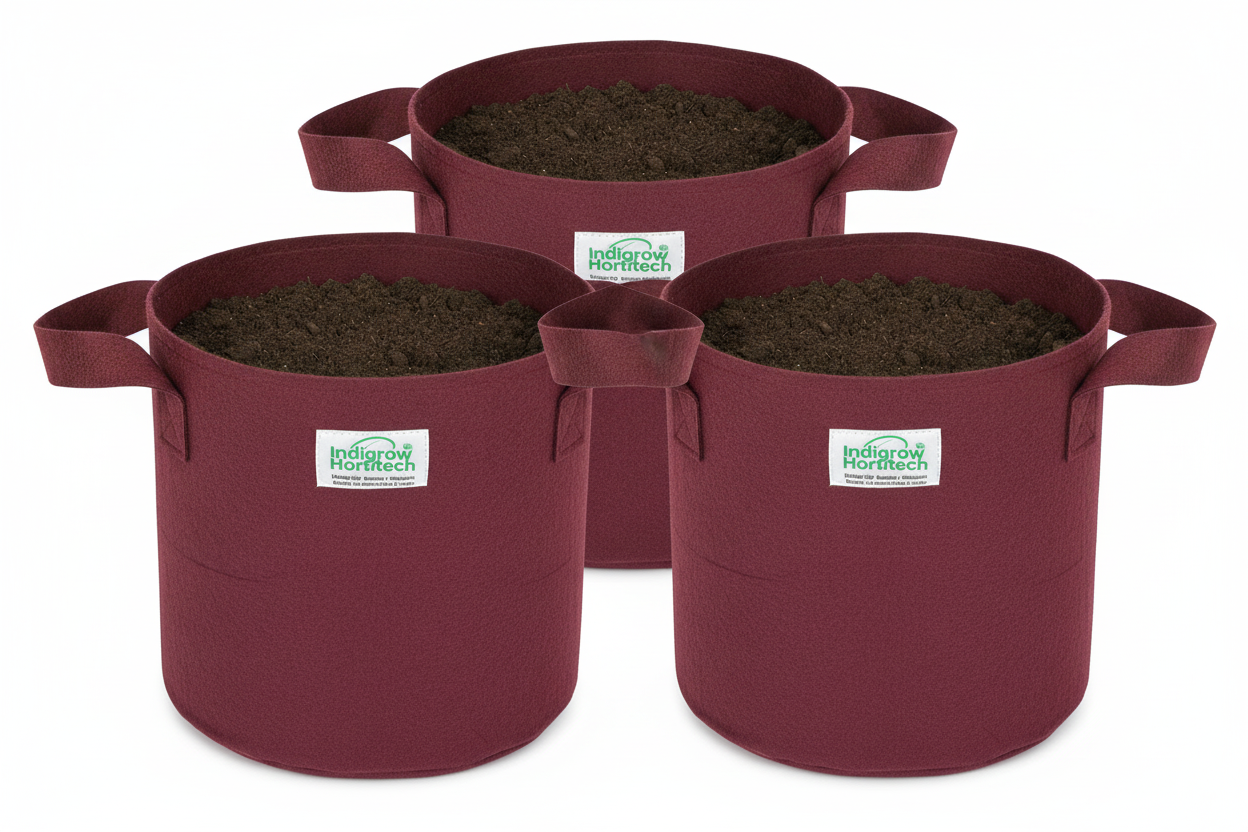 Indigrow Superior Geo Fabric Grow Bag 12x12 Inch | 400 GSM Heavy Duty | UV Protected | Air Pruning Breathable Fabric Pot with Handles | For Tomatoes, Brinjal, Chillies & Kitchen Garden