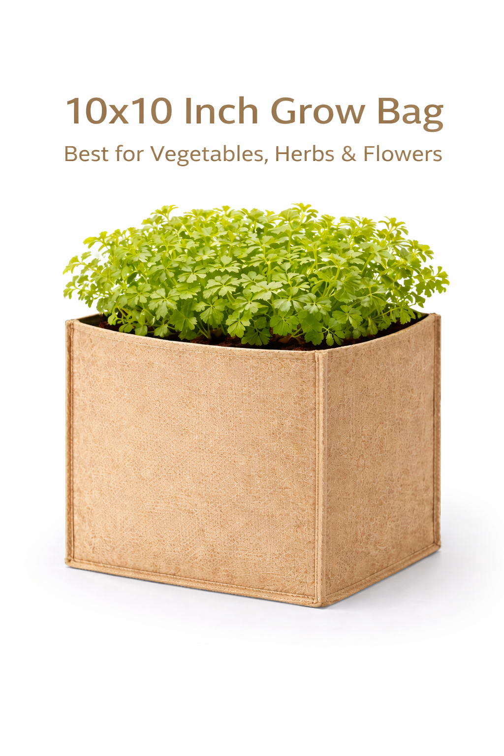 Indigrow Hortitech 12x12 Inch Square Non-Woven Geo Fabric Grow Bag | 400SM Heavy Duty | UV Stabilised | Air Pruning Breathable Fabric Pot