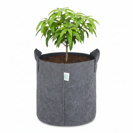 Indigrow Superior 15x15 Inch Geo Fabric Grow Bag: 400 GSM, Handles, UV Protected