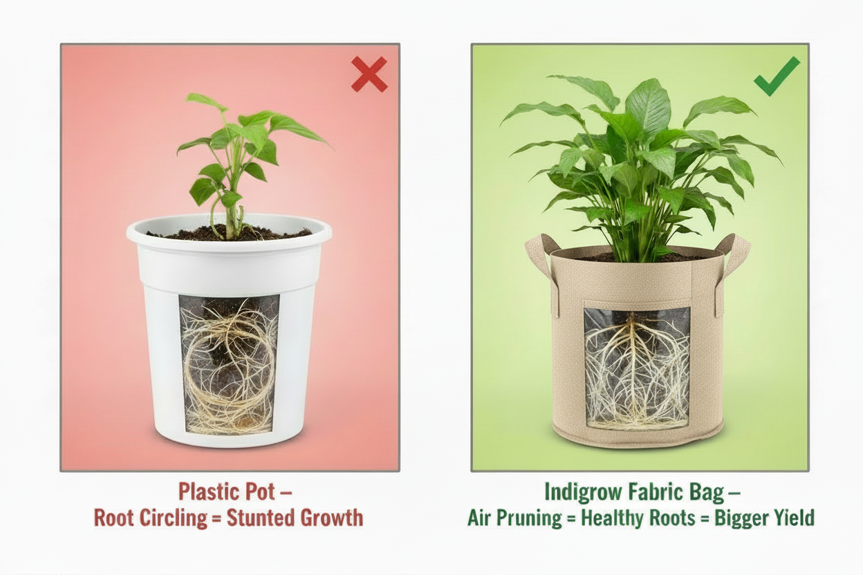 Indigrow Superior Geo Fabric Grow Bag 18x18 Inch | 400 GSM Premium Heavy Duty | UV Protected | Extra Large Breathable Fabric Pot with Handles | For Brinjal, Capsicum, Banana, Papaya & Fruit Plants |