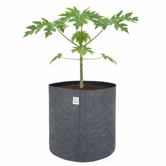 Indigrow Superior 18x18 Inch Geo Fabric Grow Bag: 400 GSM, Without Handles, UV Protected