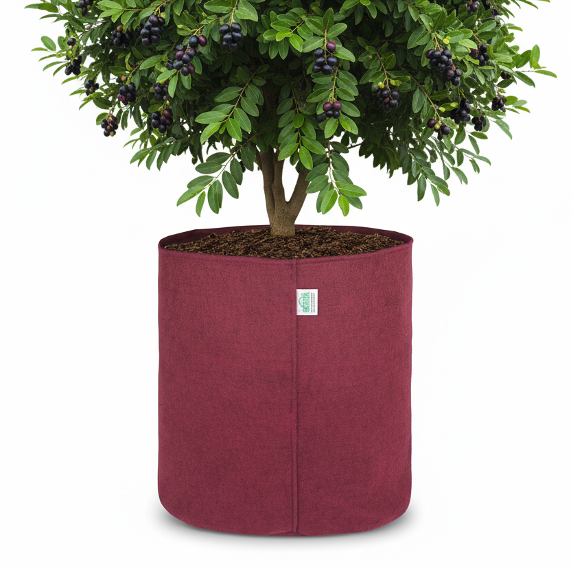 Indigrow Superior Geo Fabric Grow Bag 18x18 Inch | 400 GSM Premium Heavy Duty | UV Protected | Extra Large Breathable Fabric Pot with Handles | For Brinjal, Capsicum, Banana, Papaya & Fruit Plants |