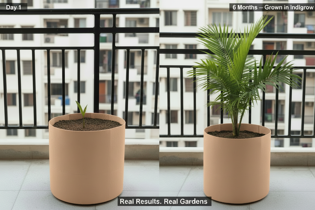 Indigrow Superior Geo Fabric Grow Bag 18x18 Inch | 400 GSM Premium Heavy Duty | UV Protected | Extra Large Breathable Fabric Pot with Handles | For Brinjal, Capsicum, Banana, Papaya & Fruit Plants |