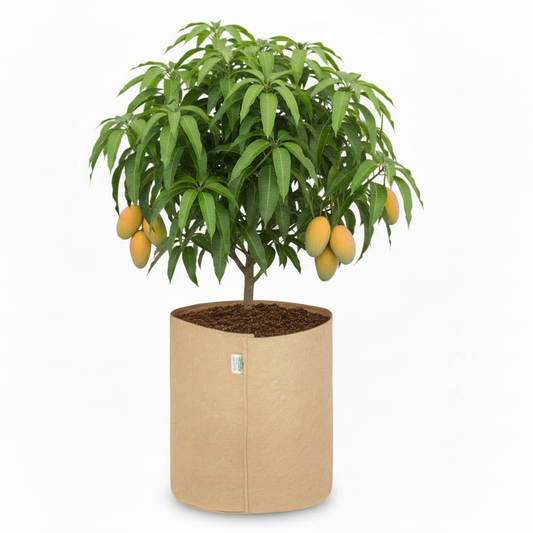 Indigrow Superior Geo Fabric Grow Bag 18x18 Inch | 400 GSM Premium Heavy Duty | UV Protected | Extra Large Breathable Fabric Pot with Handles | For Brinjal, Capsicum, Banana, Papaya & Fruit Plants |