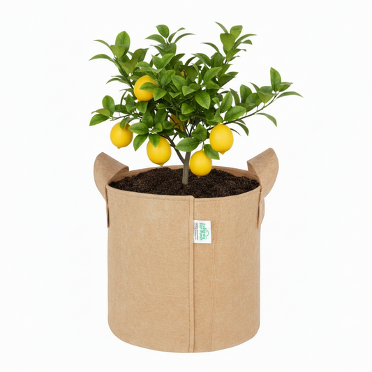 Indigrow Superior 9x9 Inch Geo Fabric Grow Bag: 400 GSM, Handles, UV Protected