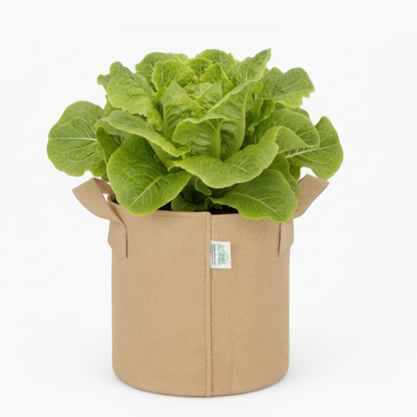 Indigrow Superior Geo Fabric Grow Bag 9x9 Inch | 400 GSM Heavy Duty | UV Protected | Air Pruning Breathable Fabric Pot with Handles | For Chilli, Spinach, Herbs & Kitchen Garden Plants
