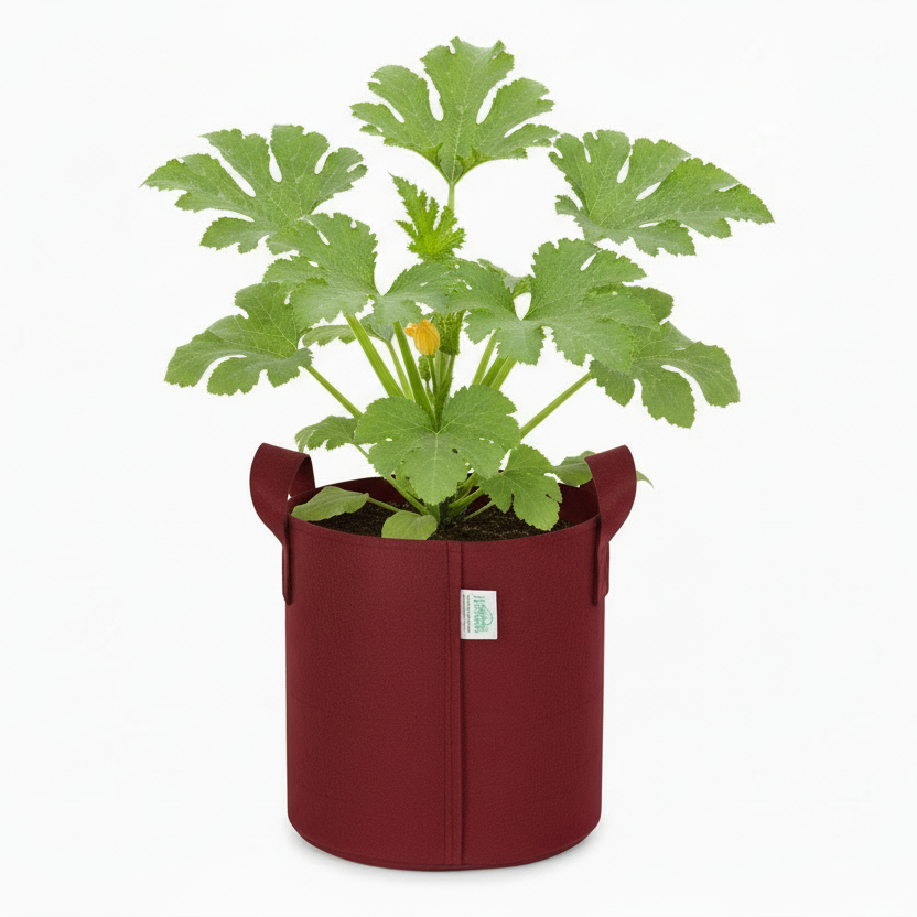 Indigrow Superior Geo Fabric Grow Bag 9x9 Inch | 400 GSM Heavy Duty | UV Protected | Air Pruning Breathable Fabric Pot with Handles | For Chilli, Spinach, Herbs & Kitchen Garden Plants