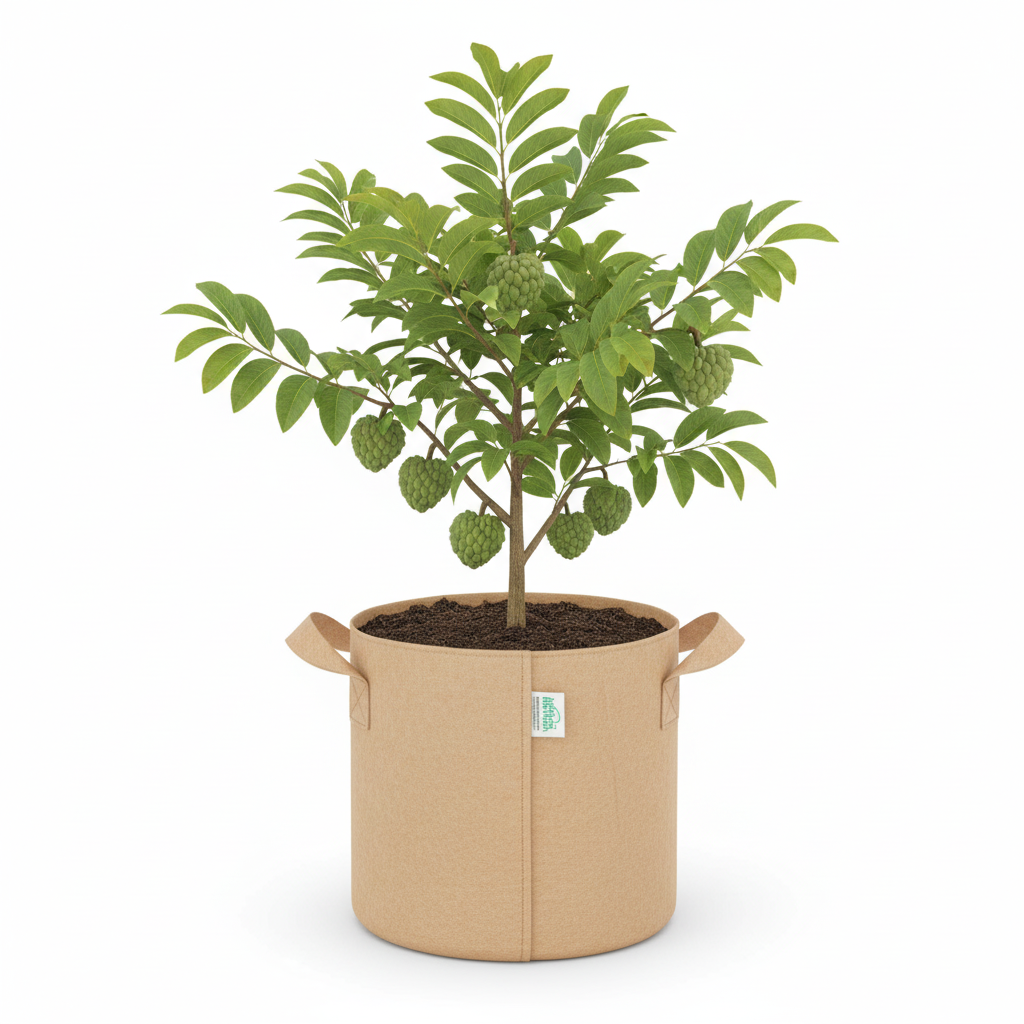 Indigrow Superior Geo Fabric Grow Bag 10x10 Inch | 400 GSM Heavy Duty | UV Protected | Air Pruning Breathable Fabric Pot with Handles | For Tomatoes,Vegetables & Kitchen Garden