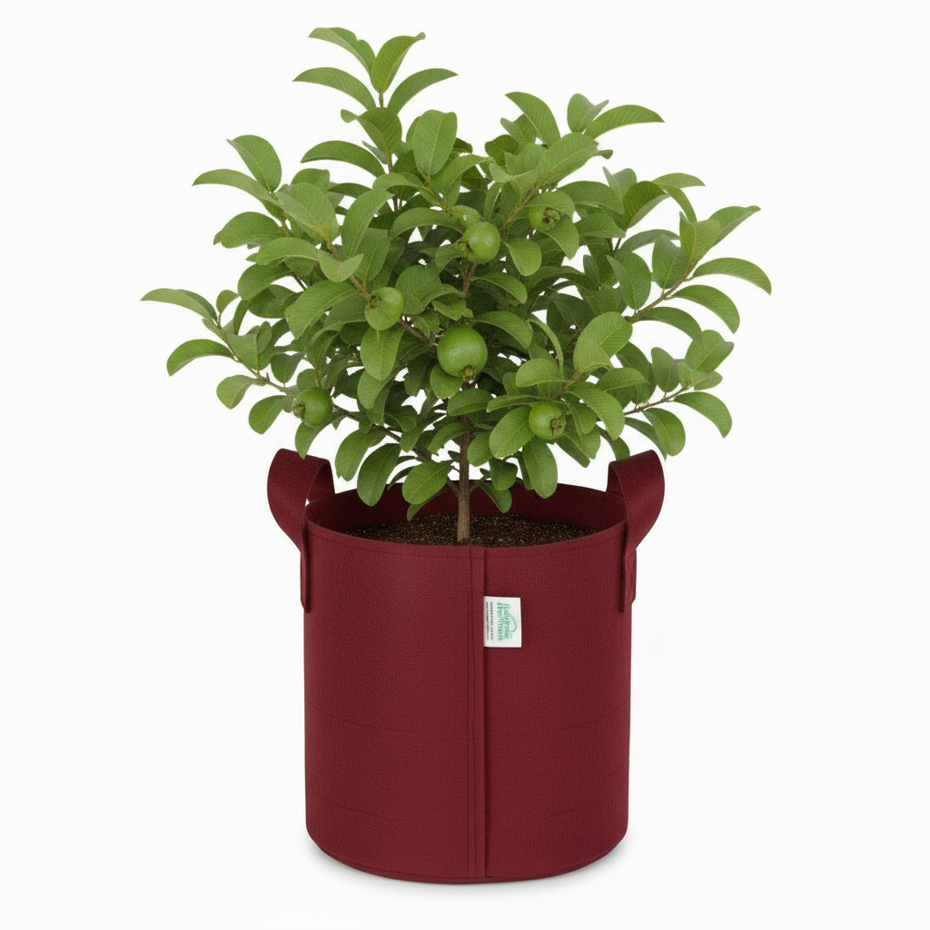 Indigrow Superior Geo Fabric Grow Bag 12x12 Inch | 400 GSM Heavy Duty | UV Protected | Air Pruning Breathable Fabric Pot with Handles | For Tomatoes, Brinjal, Chillies & Kitchen Garden
