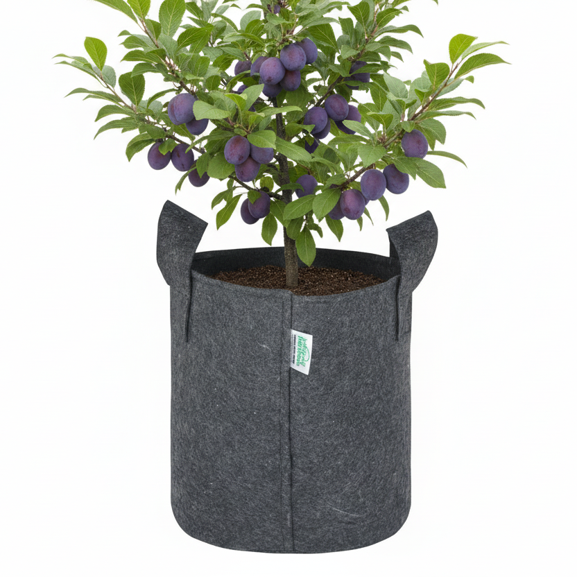 Indigrow Superior Geo Fabric Grow Bag 9x9 Inch | 400 GSM Heavy Duty | UV Protected | Air Pruning Breathable Fabric Pot with Handles | For Chilli, Spinach, Herbs & Kitchen Garden Plants