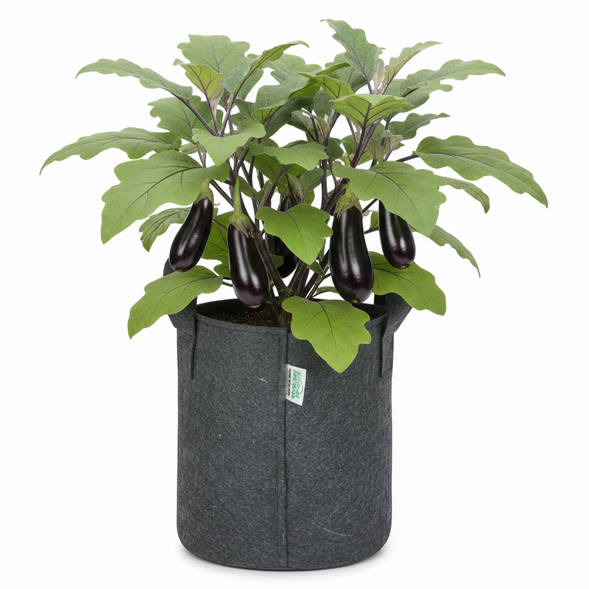 Indigrow Superior Geo Fabric Grow Bag 9x9 Inch | 400 GSM Heavy Duty | UV Protected | Air Pruning Breathable Fabric Pot with Handles | For Chilli, Spinach, Herbs & Kitchen Garden Plants