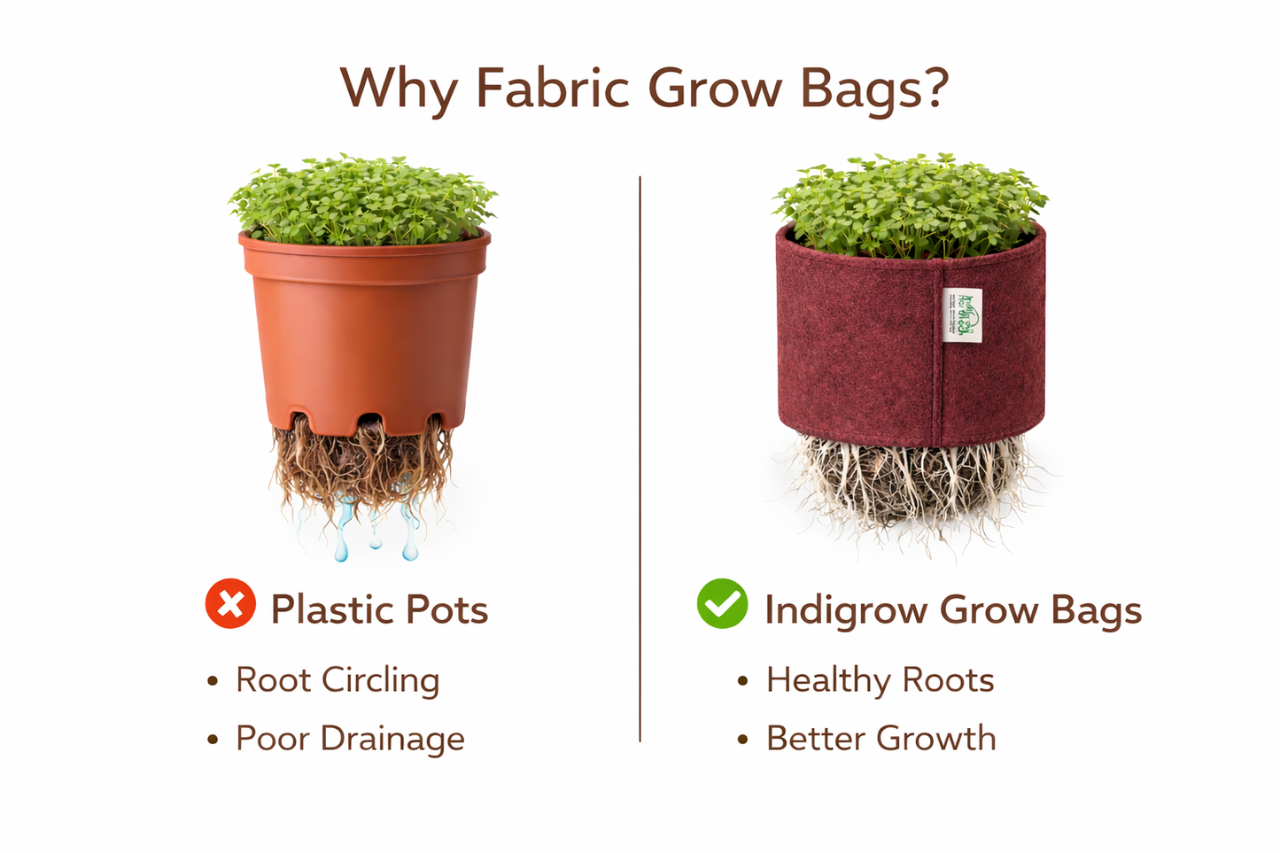 Indigrow Superior Geo Fabric Grow Bag 6x6 Inch | 400 GSM Heavy Duty | UV Protected | Air Pruning Breathable Fabric Pot with Handles | For Herbs, Coriander, Mint & Small Plants