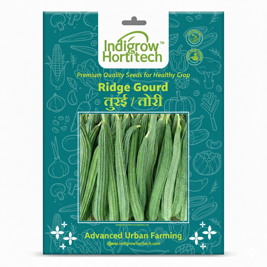 Ridge Gourd (तोरई) F-1 Hybrid Seeds
