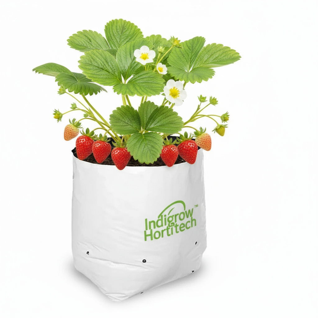 LDPE Double layer Grow Bag 28x28x50 cm