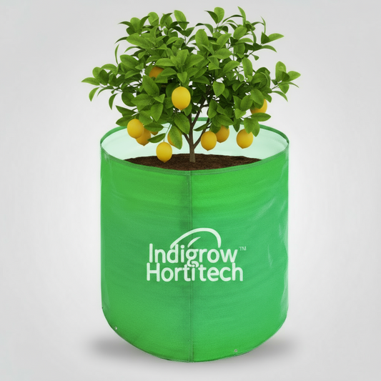 Indigrow Durable 6x6 Inch HDPE Circular Grow Bag for Healthy Garden Plants
