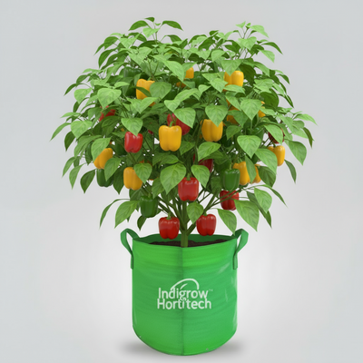 Indigrow Durable 15x12 Inch HDPE Circular Grow Bag for Healthy Garden Plants