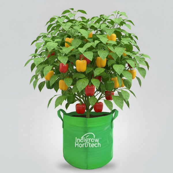 Indigrow Durable 15x12 Inch HDPE Circular Grow Bag for Healthy Garden Plants