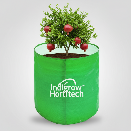 Indigrow Durable 12x12 Inch HDPE Circular Grow Bag for Healthy Garden Plants
