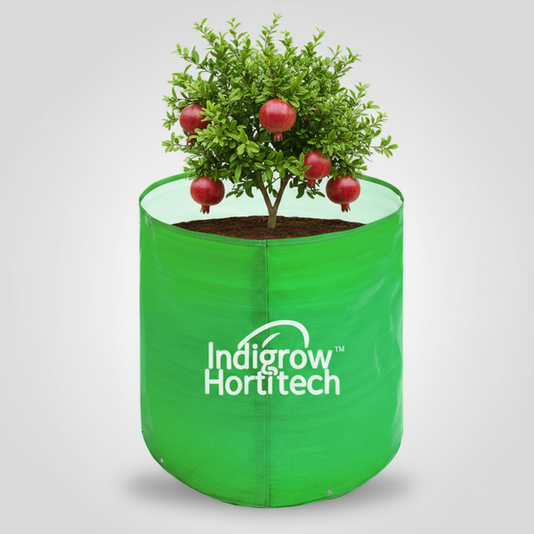 Indigrow Durable 12x12 Inch HDPE Circular Grow Bag for Healthy Garden Plants