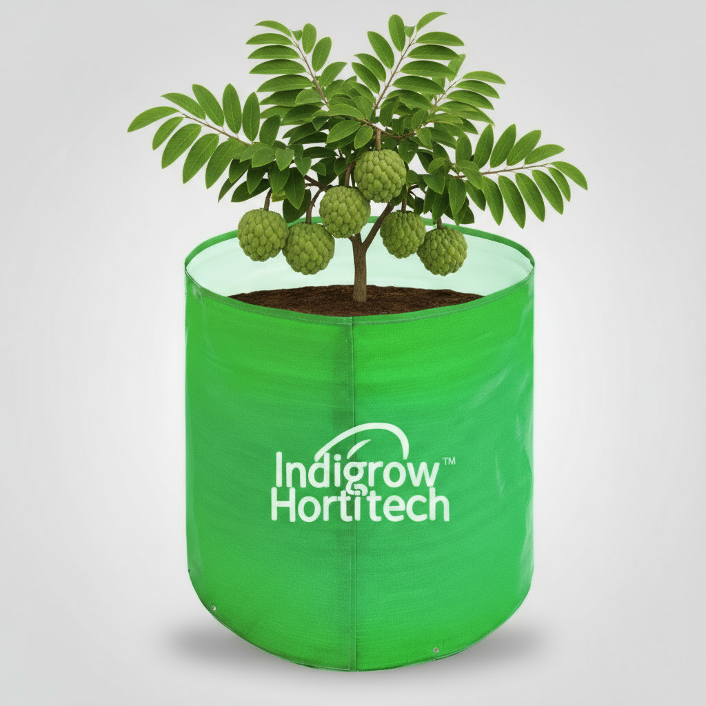 Indigrow Durable 12x15 Inch HDPE Circular Grow Bag for Healthy Garden Plants