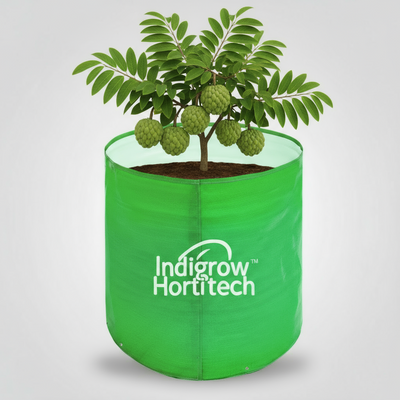 Indigrow Durable 12x15 Inch HDPE Circular Grow Bag for Healthy Garden Plants