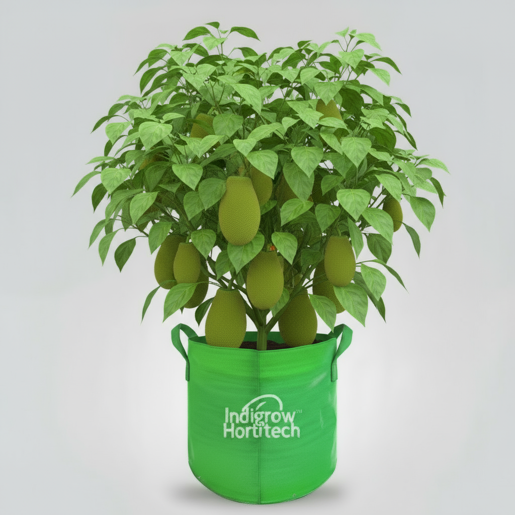 Indigrow Durable 18x24 Inch HDPE Circular Grow Bag for Healthy Garden Plants