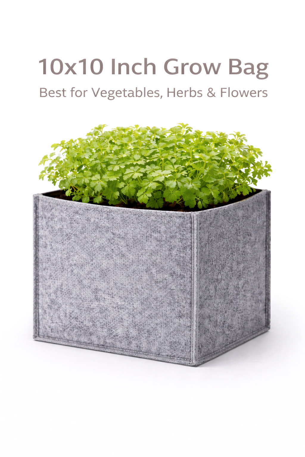 Indigrow Hortitech 12x12 Inch Square Non-Woven Geo Fabric Grow Bag | 400SM Heavy Duty | UV Stabilised | Air Pruning Breathable Fabric Pot