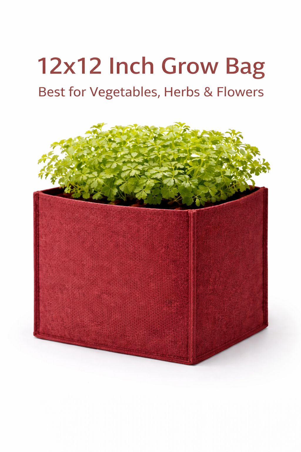 Indigrow Hortitech 12x12 Inch Square Non-Woven Geo Fabric Grow Bag | 400SM Heavy Duty | UV Stabilised | Air Pruning Breathable Fabric Pot