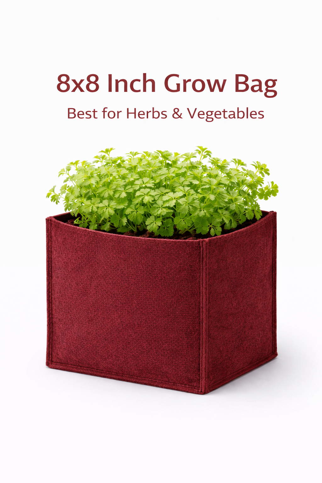 Indigrow Hortitech 12x12 Inch Square Non-Woven Geo Fabric Grow Bag | 400SM Heavy Duty | UV Stabilised | Air Pruning Breathable Fabric Pot