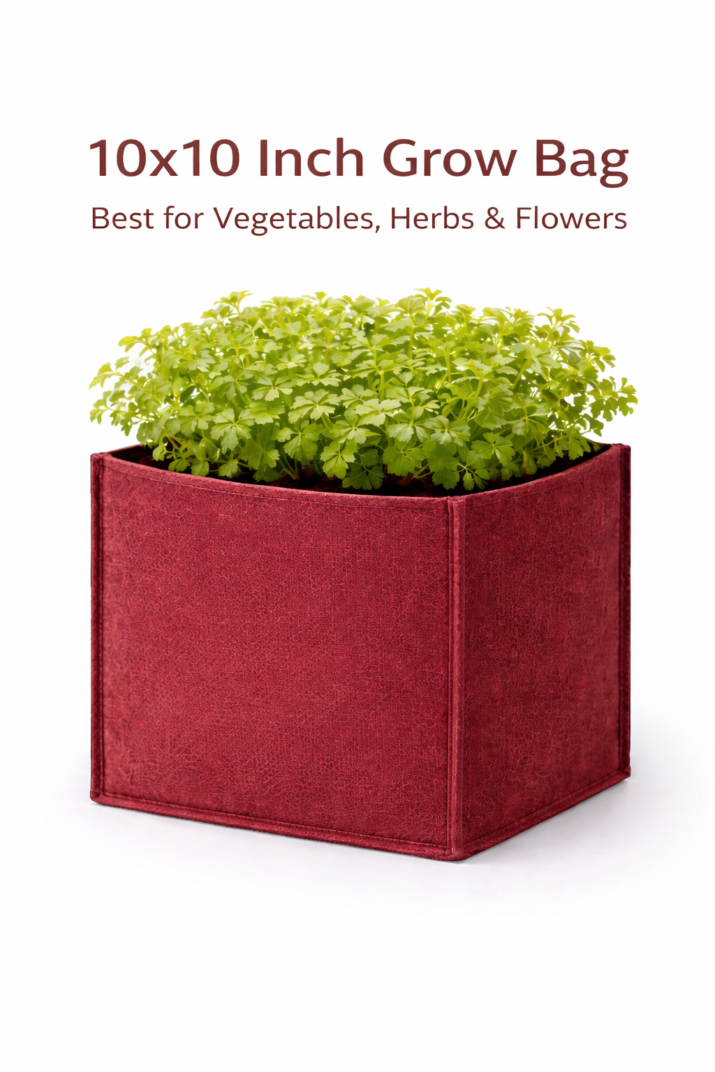 Indigrow Hortitech 12x12 Inch Square Non-Woven Geo Fabric Grow Bag | 400SM Heavy Duty | UV Stabilised | Air Pruning Breathable Fabric Pot