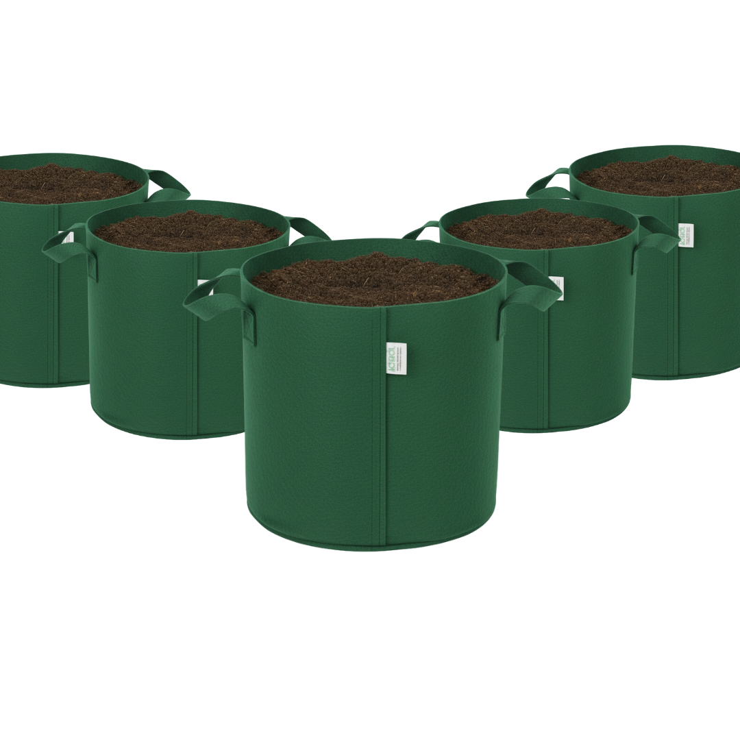 Indigrow Superior Geo Fabric Grow Bag 10x10 Inch | 400 GSM Heavy Duty | UV Protected | Air Pruning Breathable Fabric Pot with Handles | For Tomatoes,Vegetables & Kitchen Garden