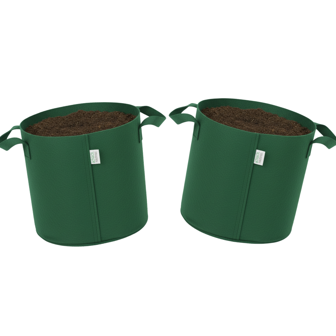 Indigrow Superior Geo Fabric Grow Bag 10x10 Inch | 400 GSM Heavy Duty | UV Protected | Air Pruning Breathable Fabric Pot with Handles | For Tomatoes,Vegetables & Kitchen Garden