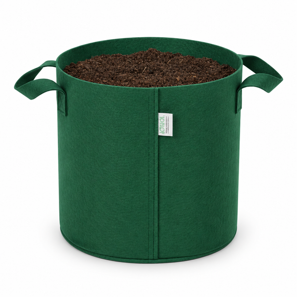 Indigrow Hortitech 10x10 400 GSM geo fabric grow bag