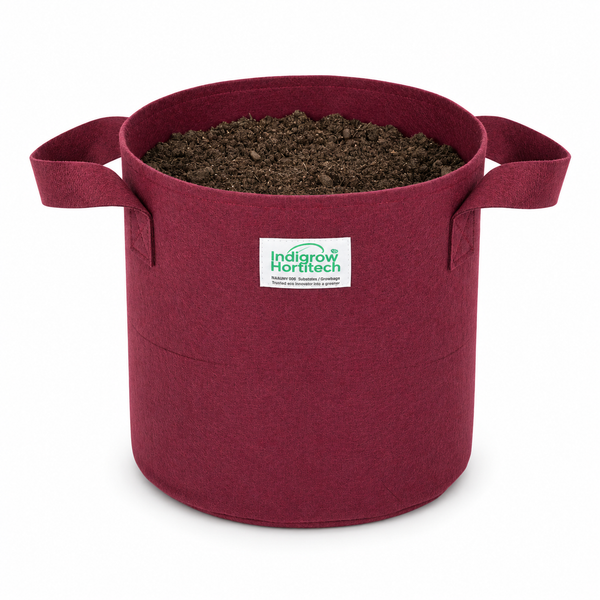 Indigrow Hortitech 12x12 400 GSM geo fabric grow bag