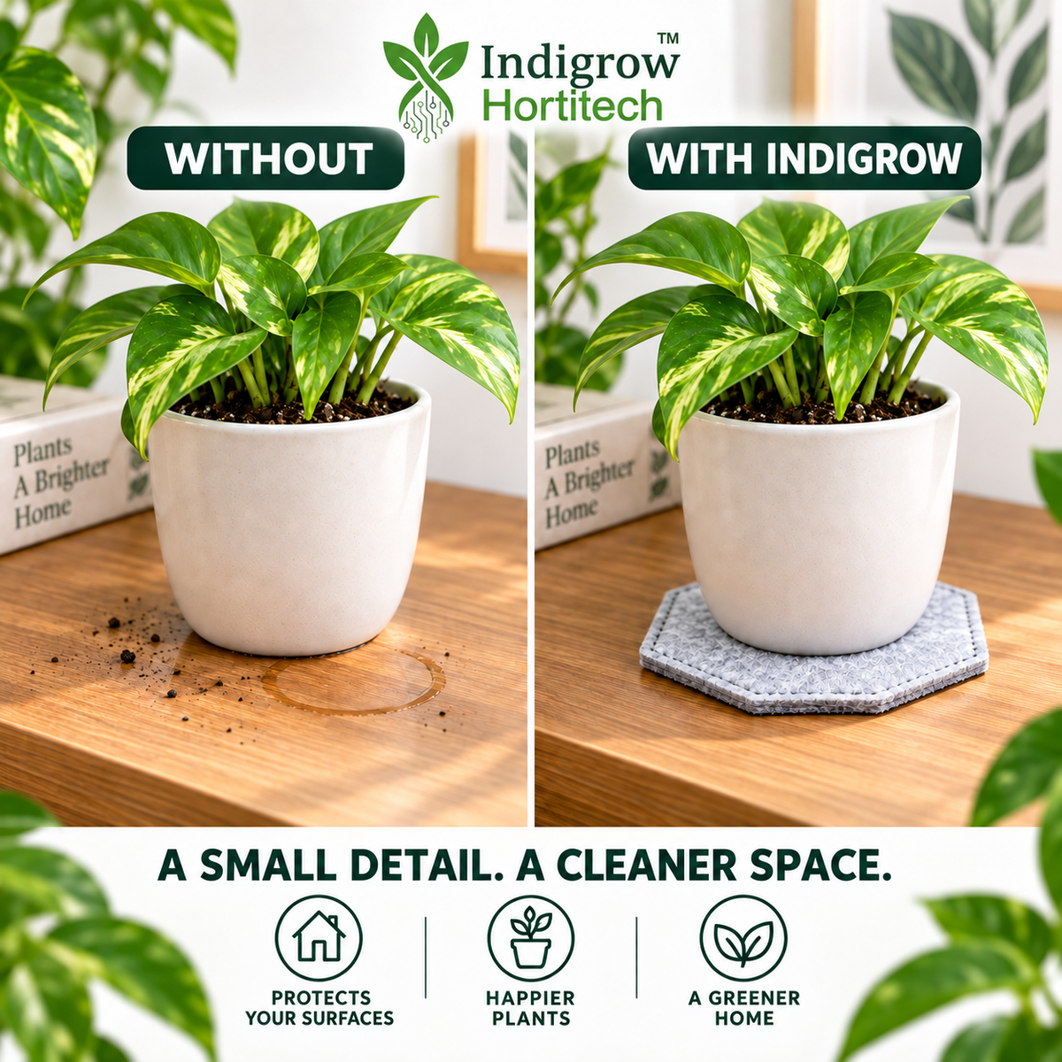 Before and after surface protection using Indigrow hexagon plant coaster
