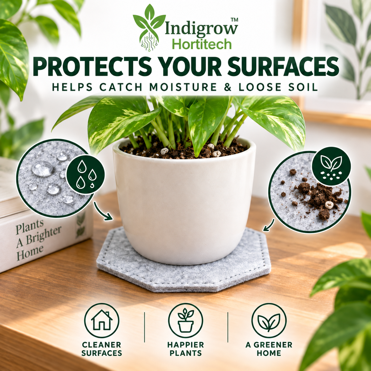 Hexagon felt plant coaster helping protect surfaces from moisture and loose soil
