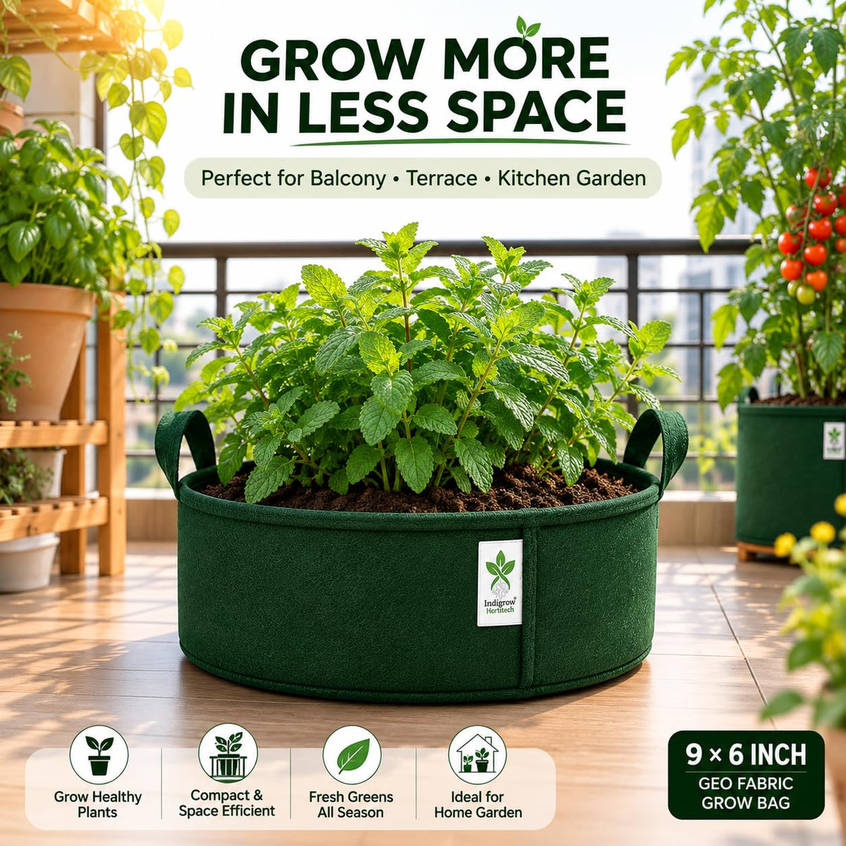 Green low-profile grow bag feature image