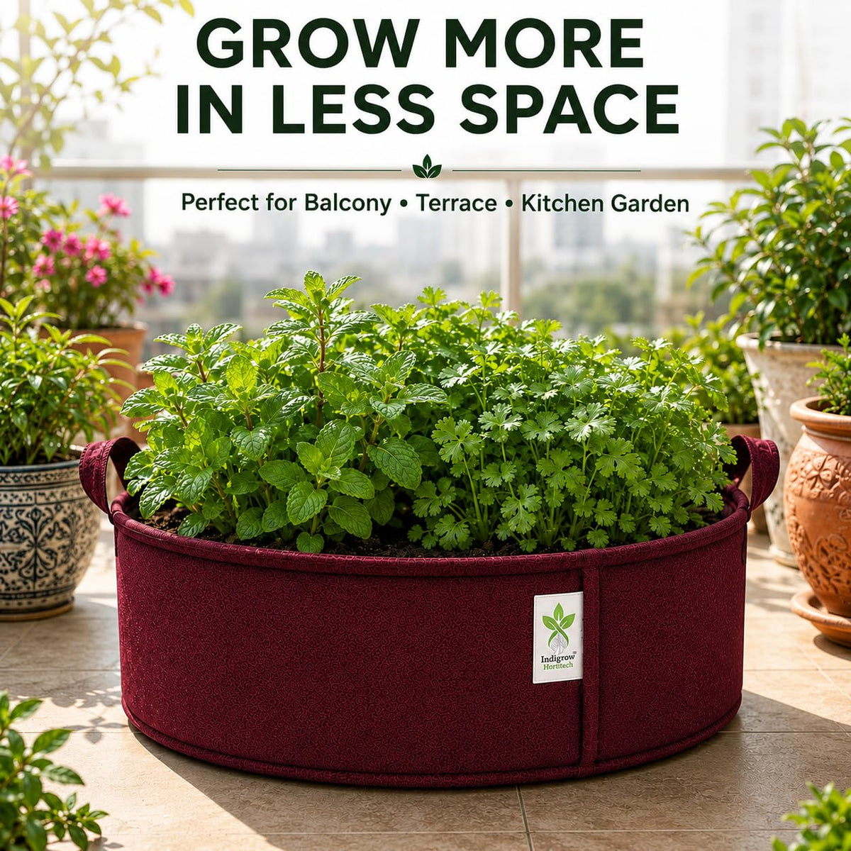 Maroon low-profile grow bag feature image