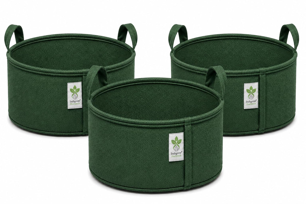 Green geo fabric grow bag 24x9 inches pack of 3