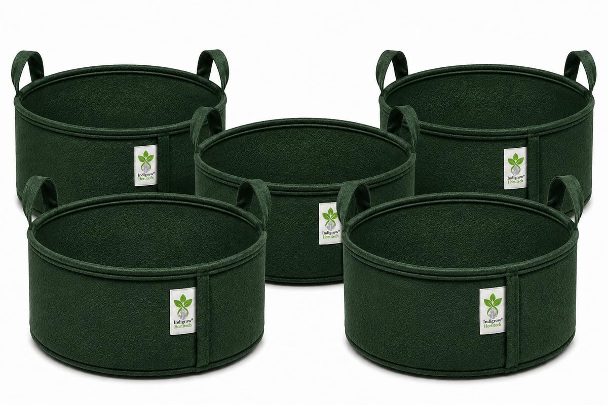 Green geo fabric grow bag 24x9 inches pack of 5